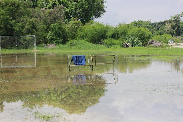 爱好者的关 爱好者的关