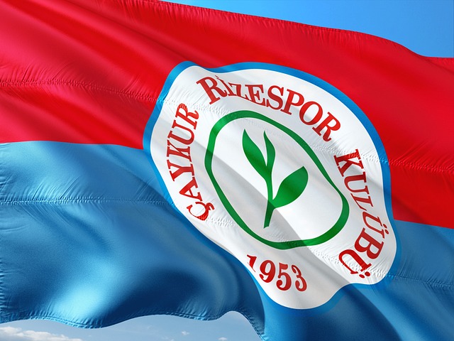 的得分优势 的得分优势