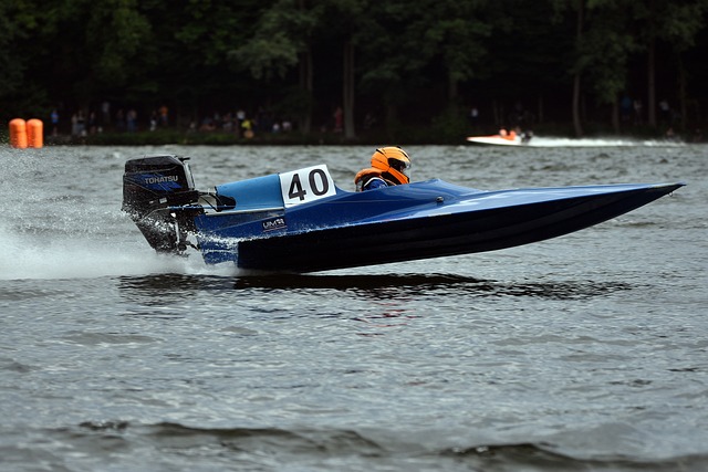 反观猛龙 反观猛龙