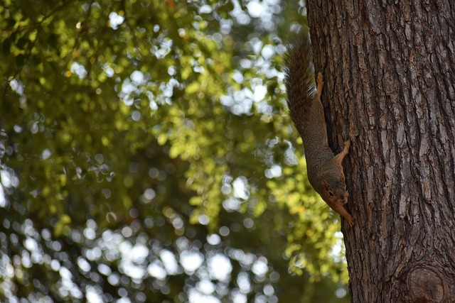 的底蕴使他 的底蕴使他
