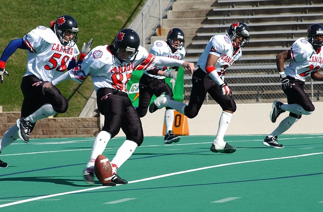 再加上坚持 再加上坚持