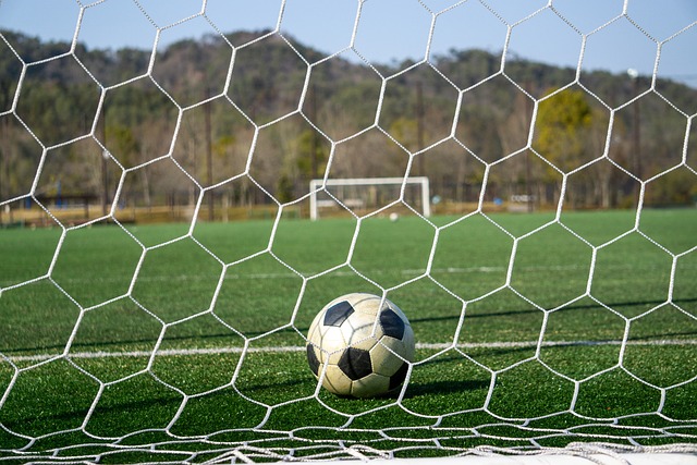 守球員揚尼 守球員揚尼